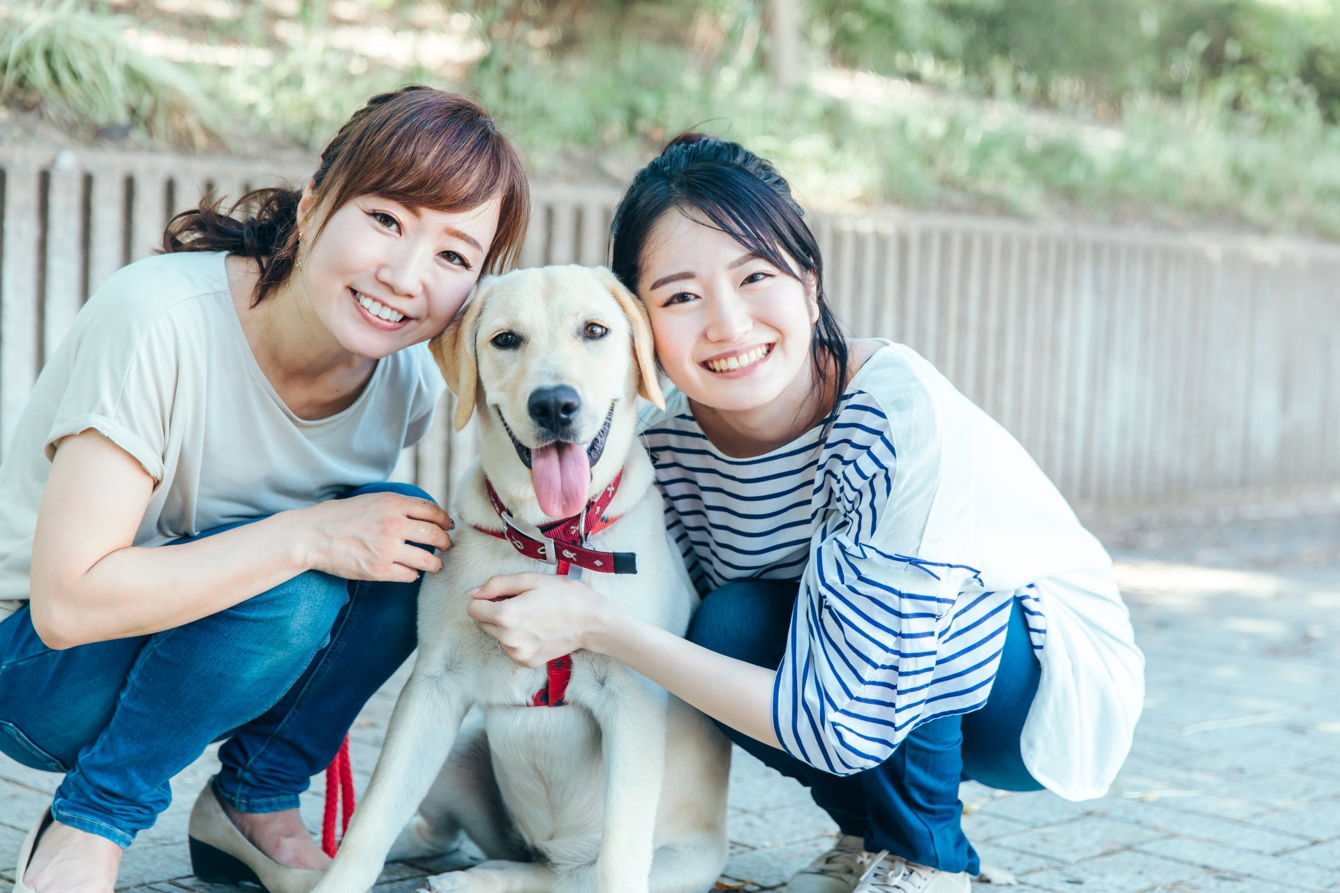 ラブポチ信託